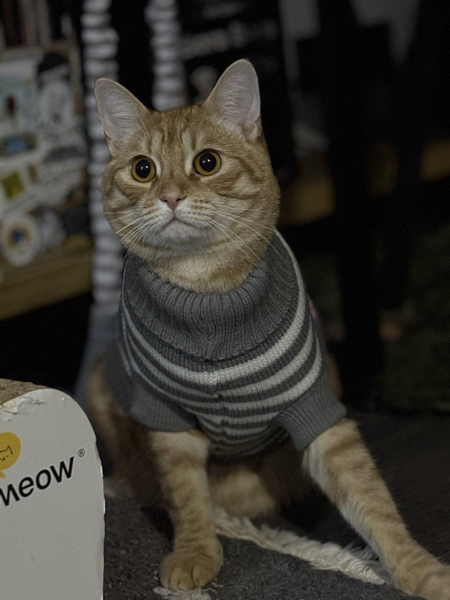 mcgrady222's tweet photo. Якийсь Ед Ширан) https://t.co/AxIWOyZ5xf