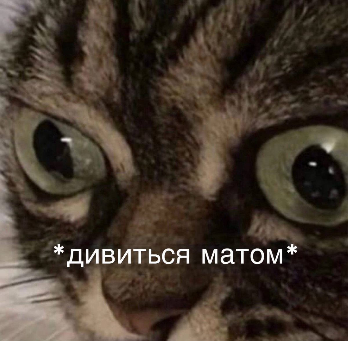 >тепліше норми літо