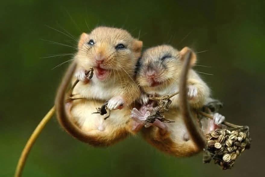 Don’t get lost in the noise; be filled with peace; focus on goodness and light. #leadership #quote #HR