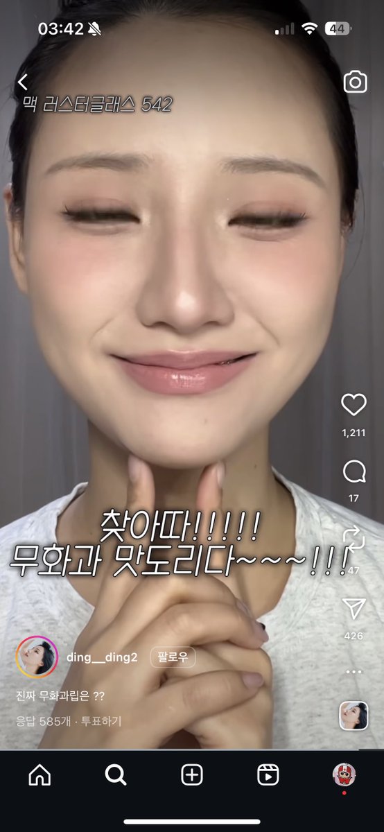 Chihuahua tweet media