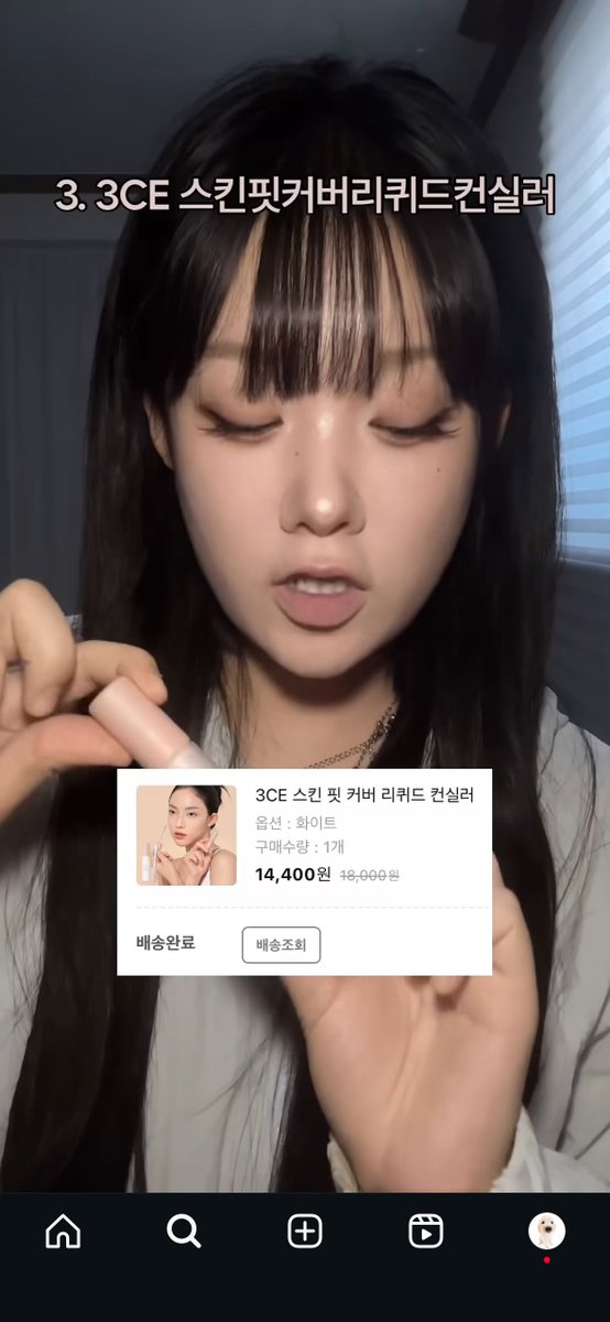 Chihuahua tweet media