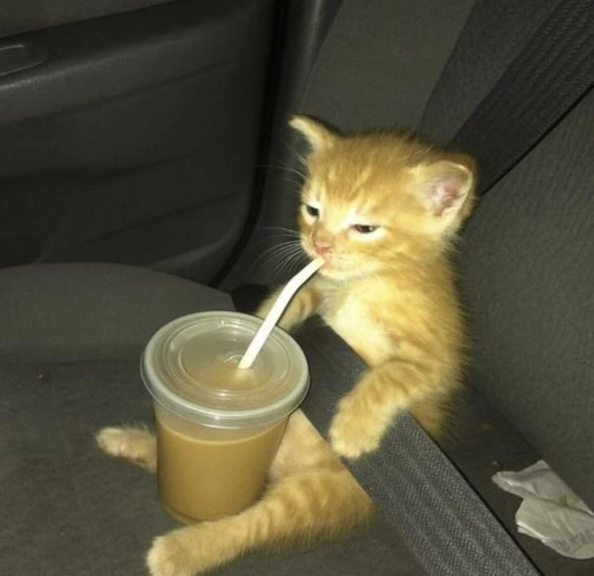 𝐂𝐚𝐩𝐦𝐚𝐧_ tweet media