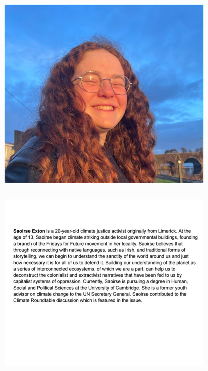 The Stinging Fly tweet media