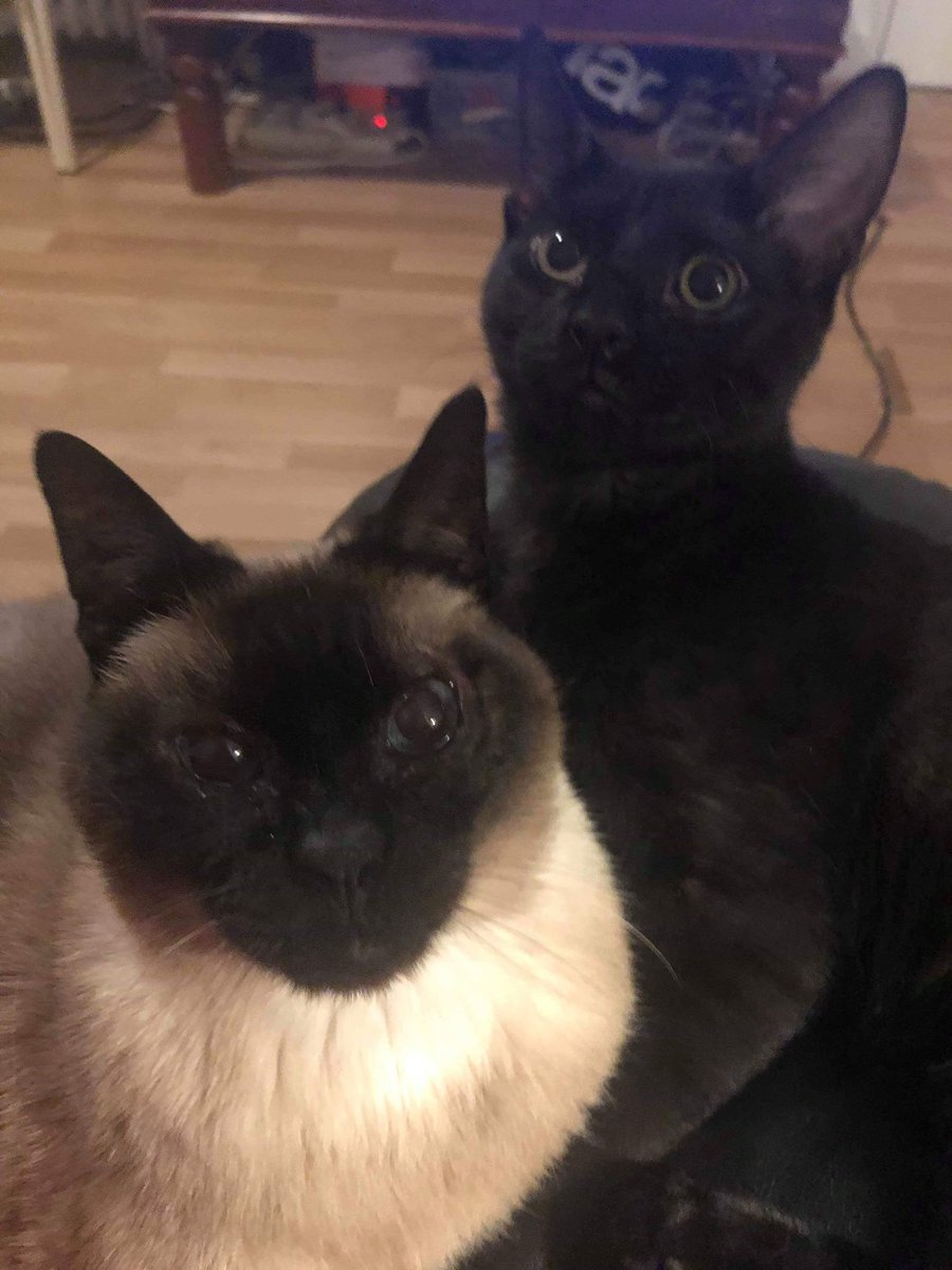 La serveuse vous déteste tweet media