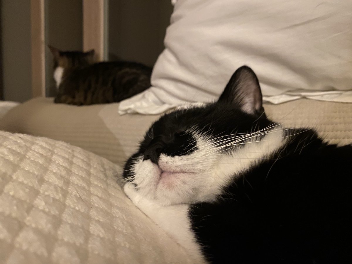 팔 괘고 자는거 봐…