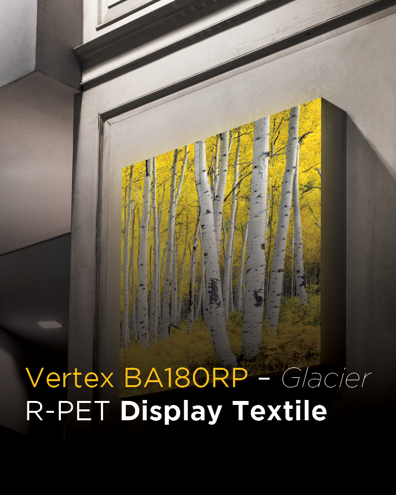 Innotech Digital tweet media