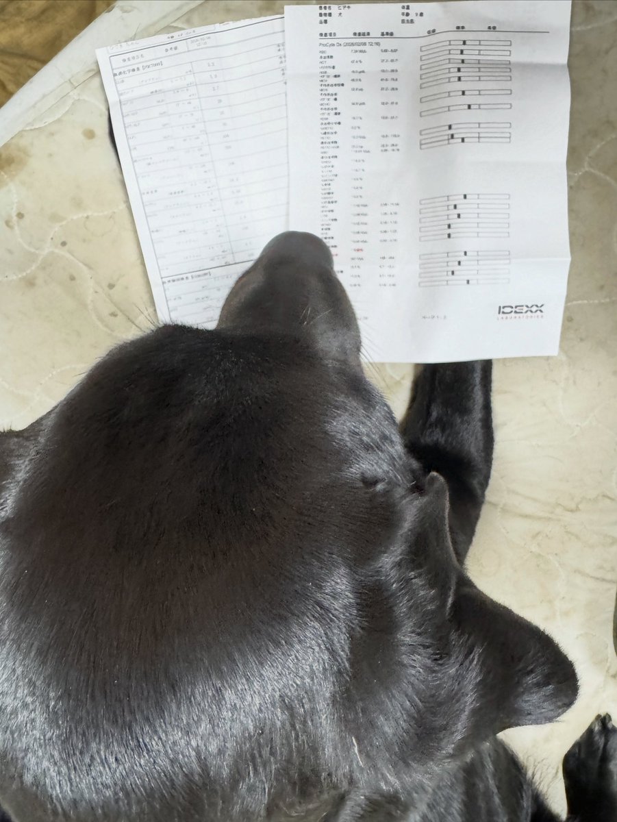 袖ケ浦ふれあいどうぶつ縁 tweet media