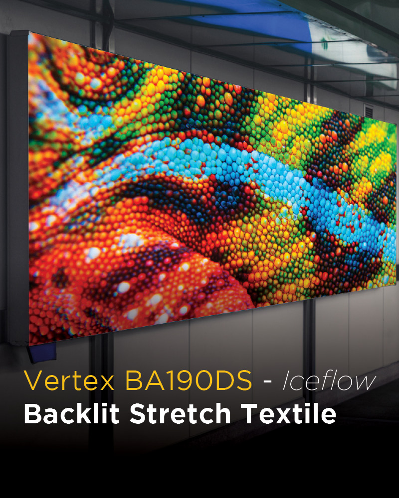 Innotech Digital tweet media