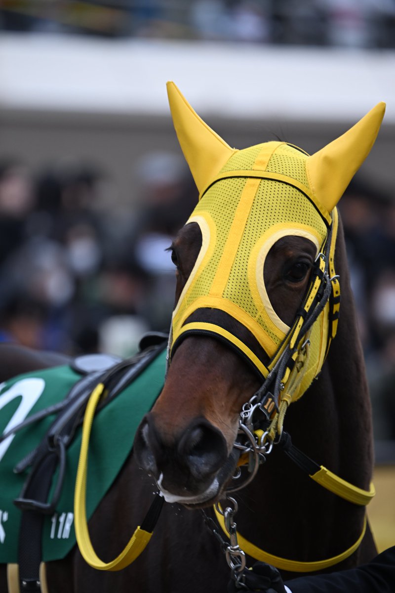 もんちゃん＠写真垢 (@mnch_pic) / Posts / X