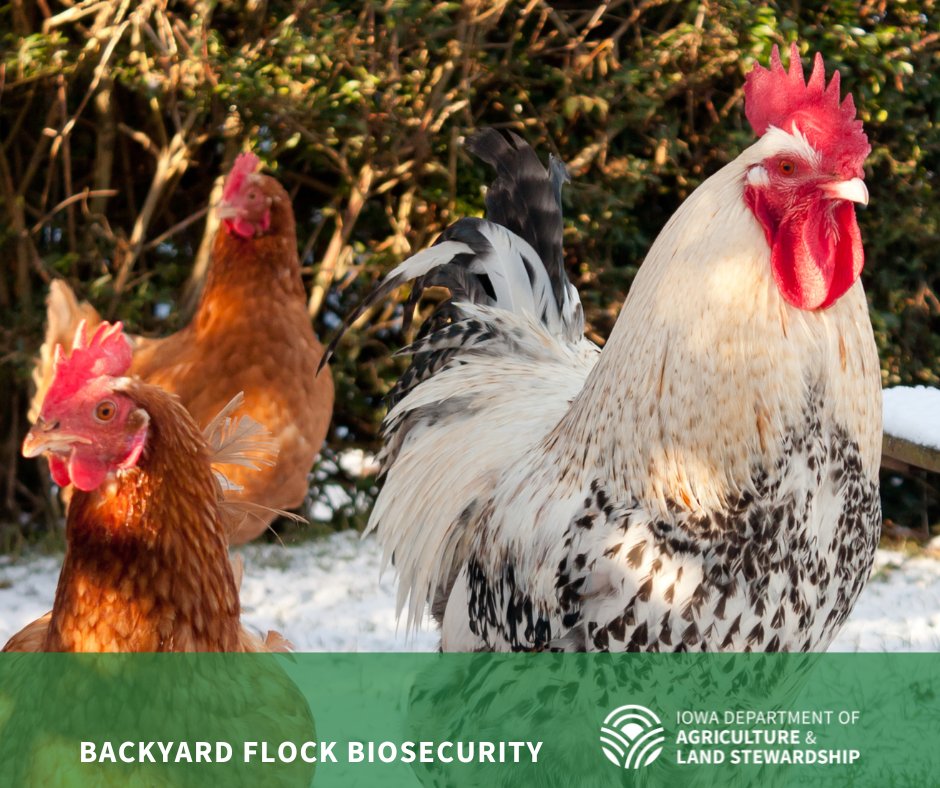 Iowa Dept of Agriculture & Land Stewardship tweet media