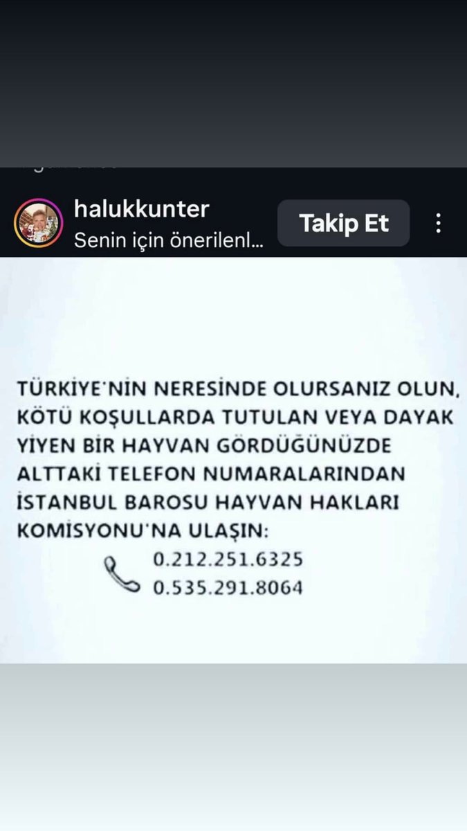 AutoLost's tweet image. 