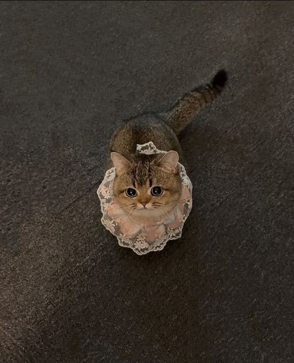 𝗟𝗲𝗲𝗻 (@1leio) on Twitter photo 