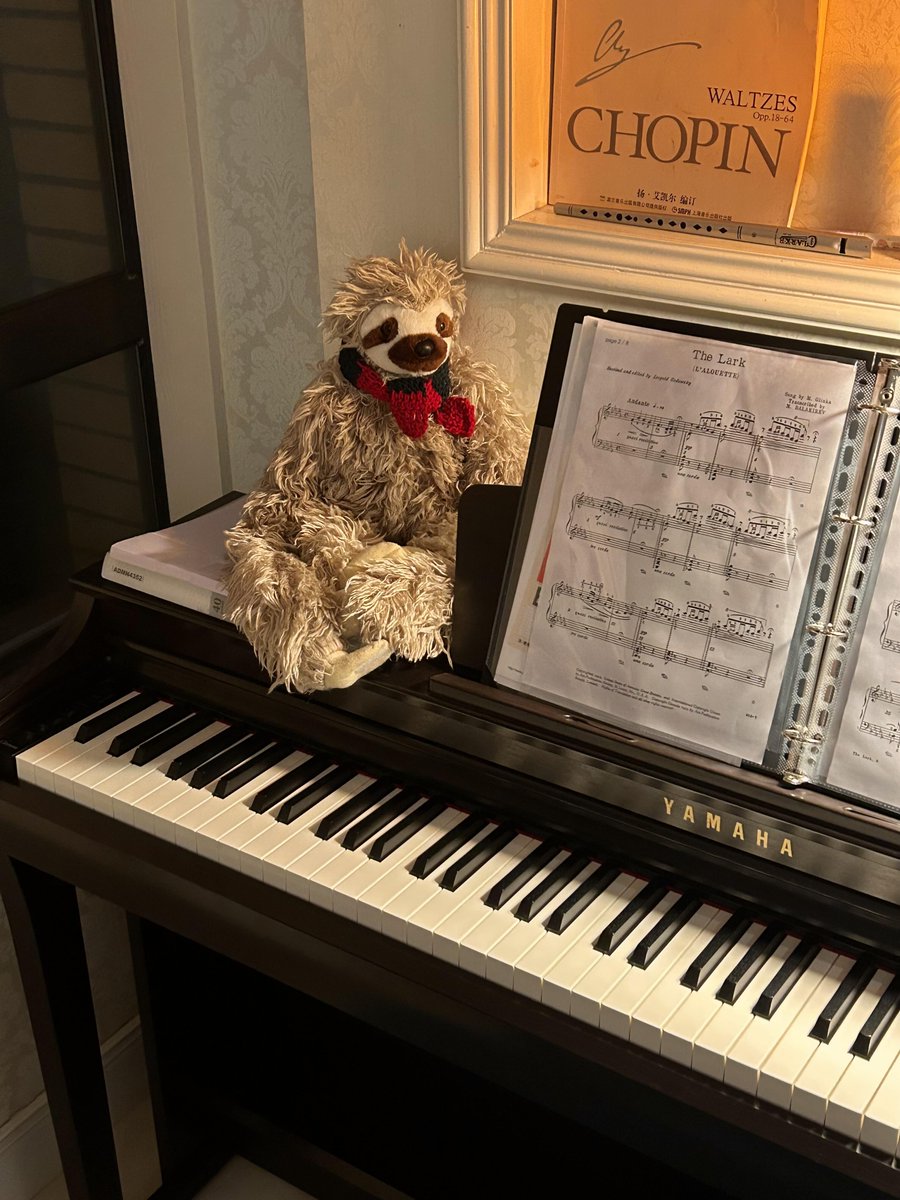 RunBookmark7's tweet image. とても穏やかな夜ですね。寝る準備ができました、おやすみなさい