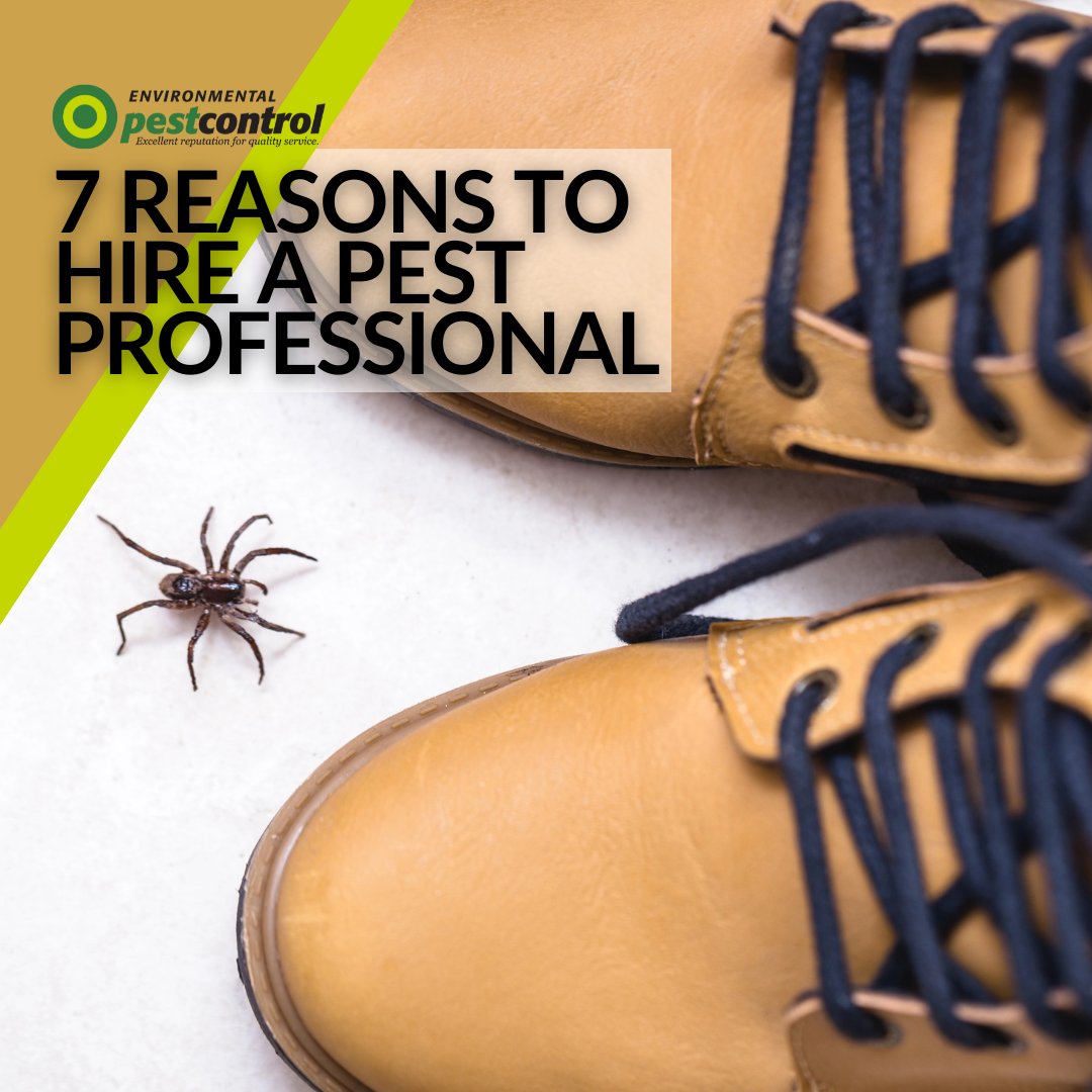 ENVPestControl's tweet photo. DIY #pestcontrol can seem easier &amp; less expensive… until the problem comes back or grows exponentially. Here are the most common reasons people get help from professional pest control experts: https://t.co/eOCylnQZzF

#EnvironmentalPestControl #PestControlAdvice https://t.co/JDGb1TG8wA