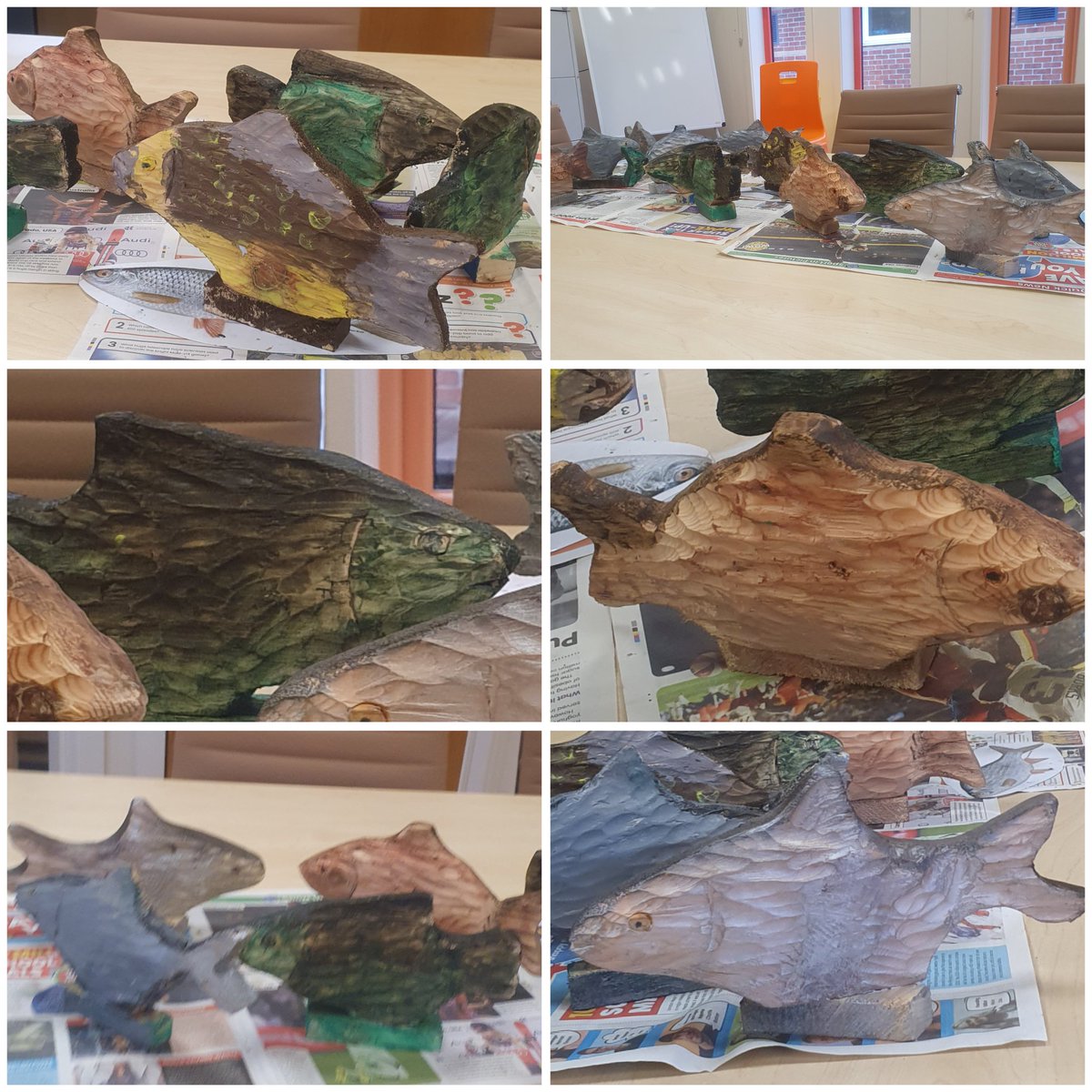 MS Angling & Education 🎣 tweet media