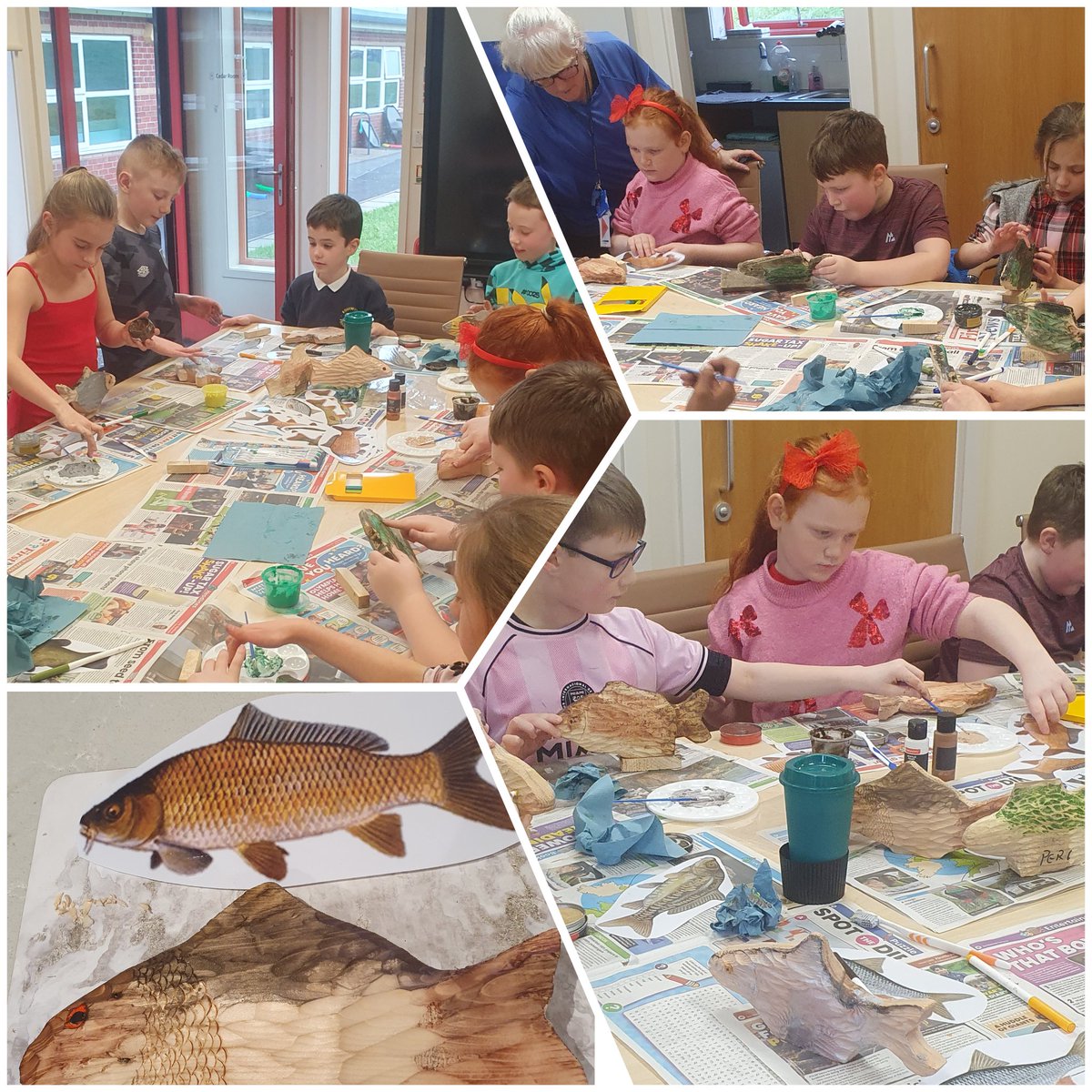 MS Angling & Education 🎣 tweet media