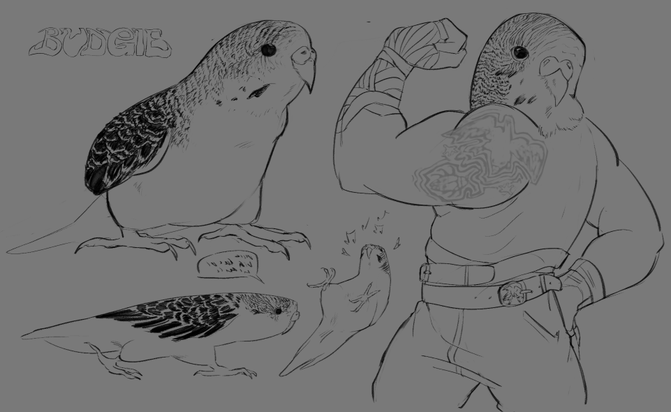TheBeastOfHorns's tweet photo. budgies https://t.co/NLysgBWowf