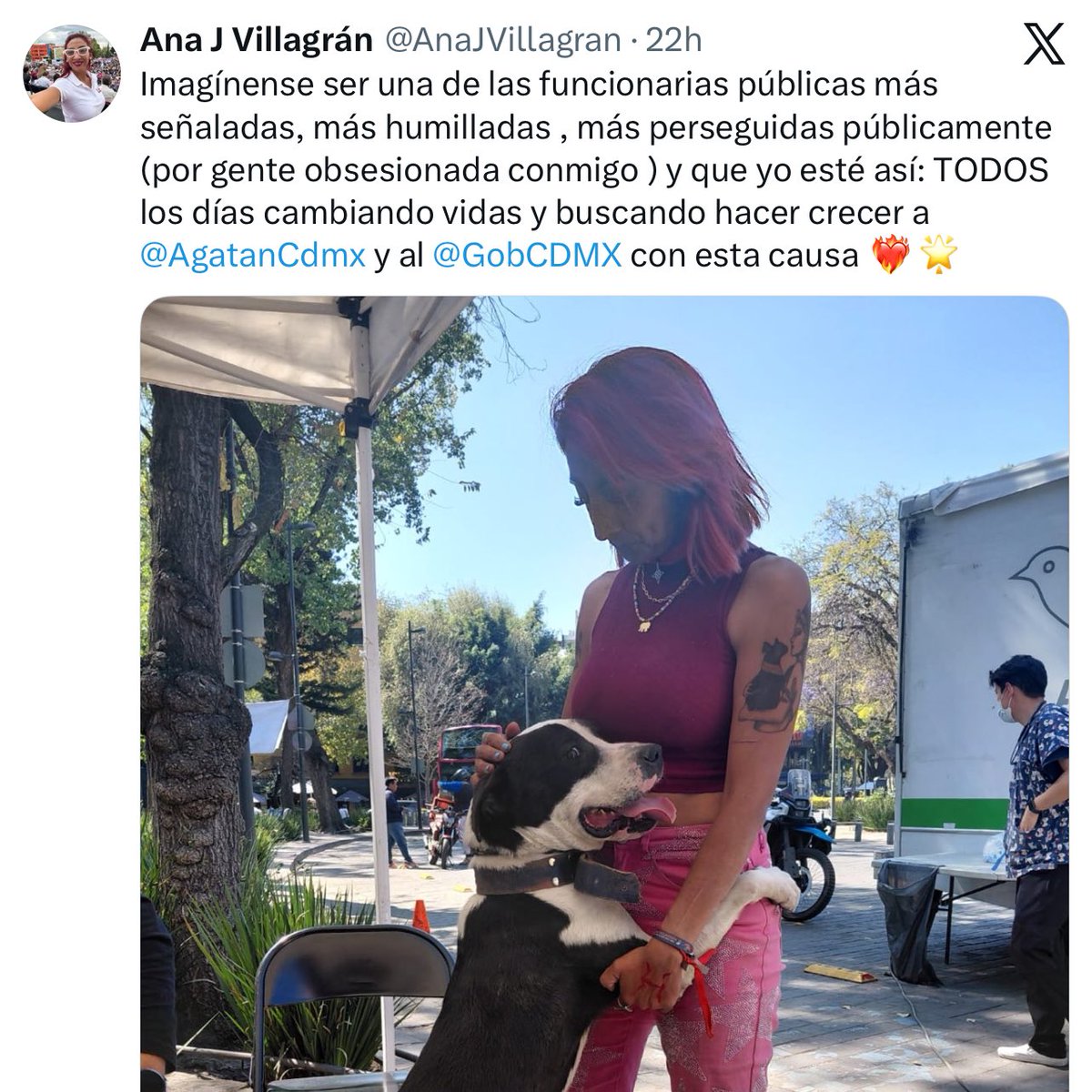 8.5 millones de pesos que no gastó Ana Villagrán en la Agencia de Atención Animal se pudieron comprar 13 mil costales de croquetas para perro de 25 kg cada uno.

¿Cambia vidas una foto de Villagrán en la Colonia Roma?