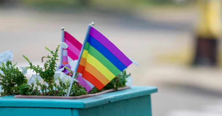 Instinct Magazine tweet media