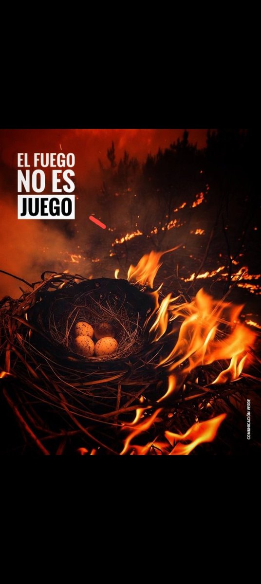 FRAMONREYES's tweet photo. Debemos tener conciencia, no solamente cuando arrojamos un fósforo o un cigarrillo encendido es un peligro para la naturaleza, también los vidrios pueden causar incendios.
#ElFuegoNoEsJuego https://t.co/dSEYqJ7NL6