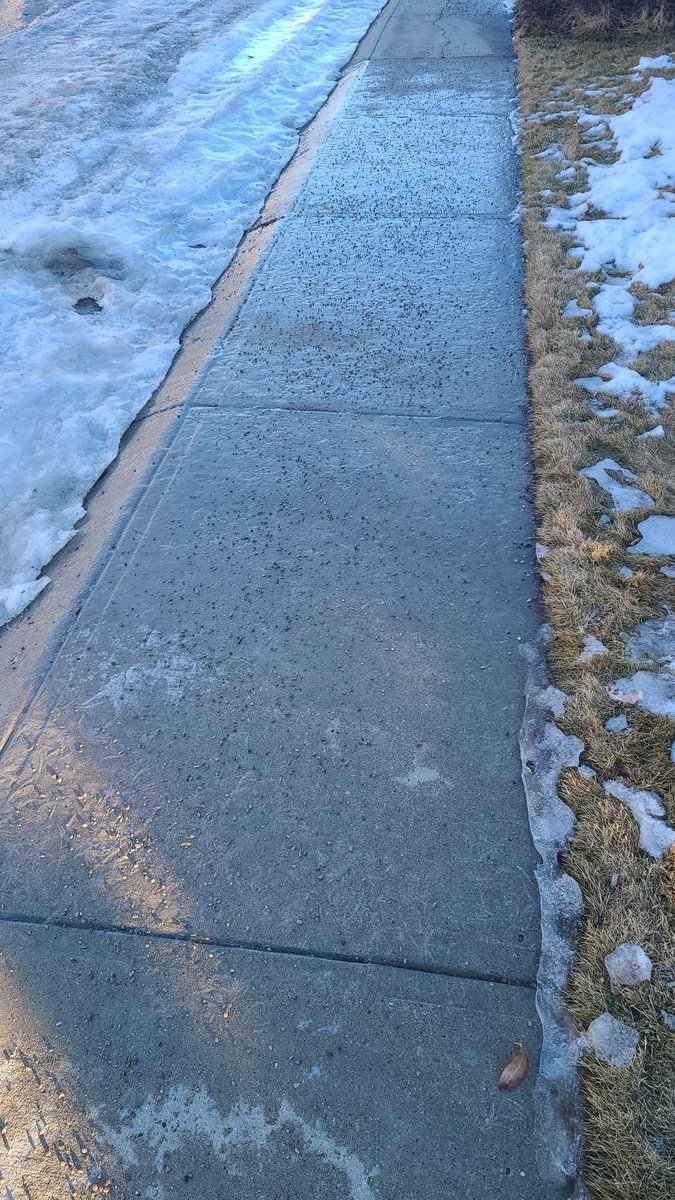 IntegraInspect's tweet photo. During this freeze thaw cycle, sidewalks are icing up overnight. Did you know that the City of Calgary has locations thru out the city with free sand / salt mixture called pickle. Find some here https://t.co/KlmuCFRMdN 
#yycre #yycrealestate #homeinspection https://t.co/9dVGWRLi09