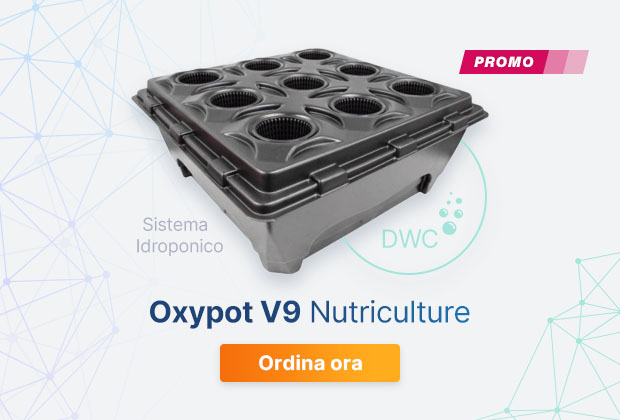 idroponicagrow's tweet photo. DWC semplice e super ossigenato 🌿💧

Nutriculture OxyPot V9: sistema per 9 piante con serbatoio 110 L (83×83×35 cm) + cestelli rete 1 L. 

Radici più forti, vegetativa più veloce.

 Promo -30%: 97,30€ (da 139€). Spedito domani. https://t.co/QLjzFMhOR9