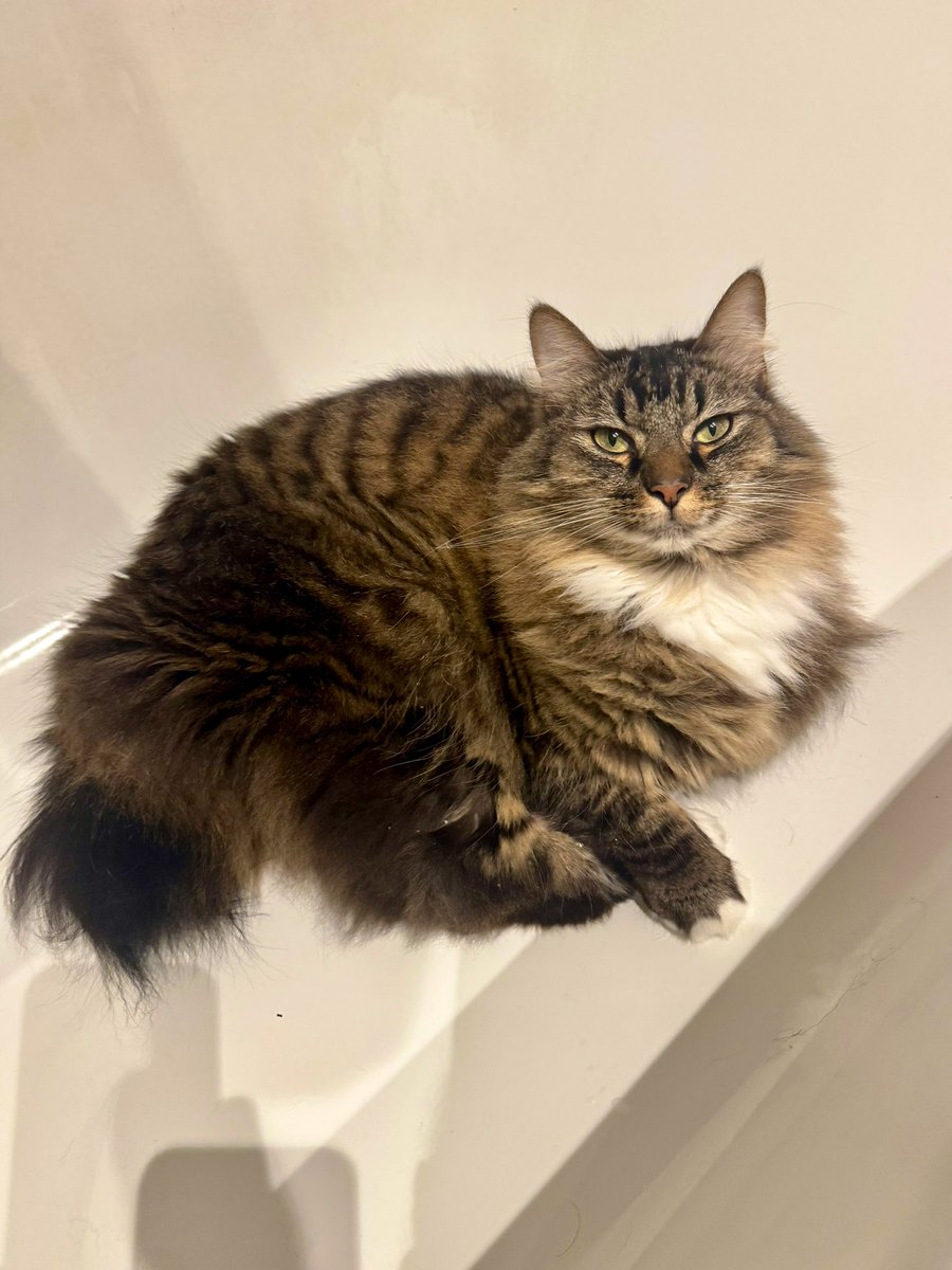 Isabelle Chataignier tweet media