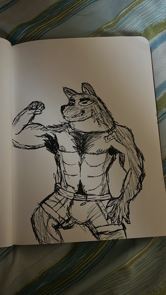 Foxer 🦊 tweet media