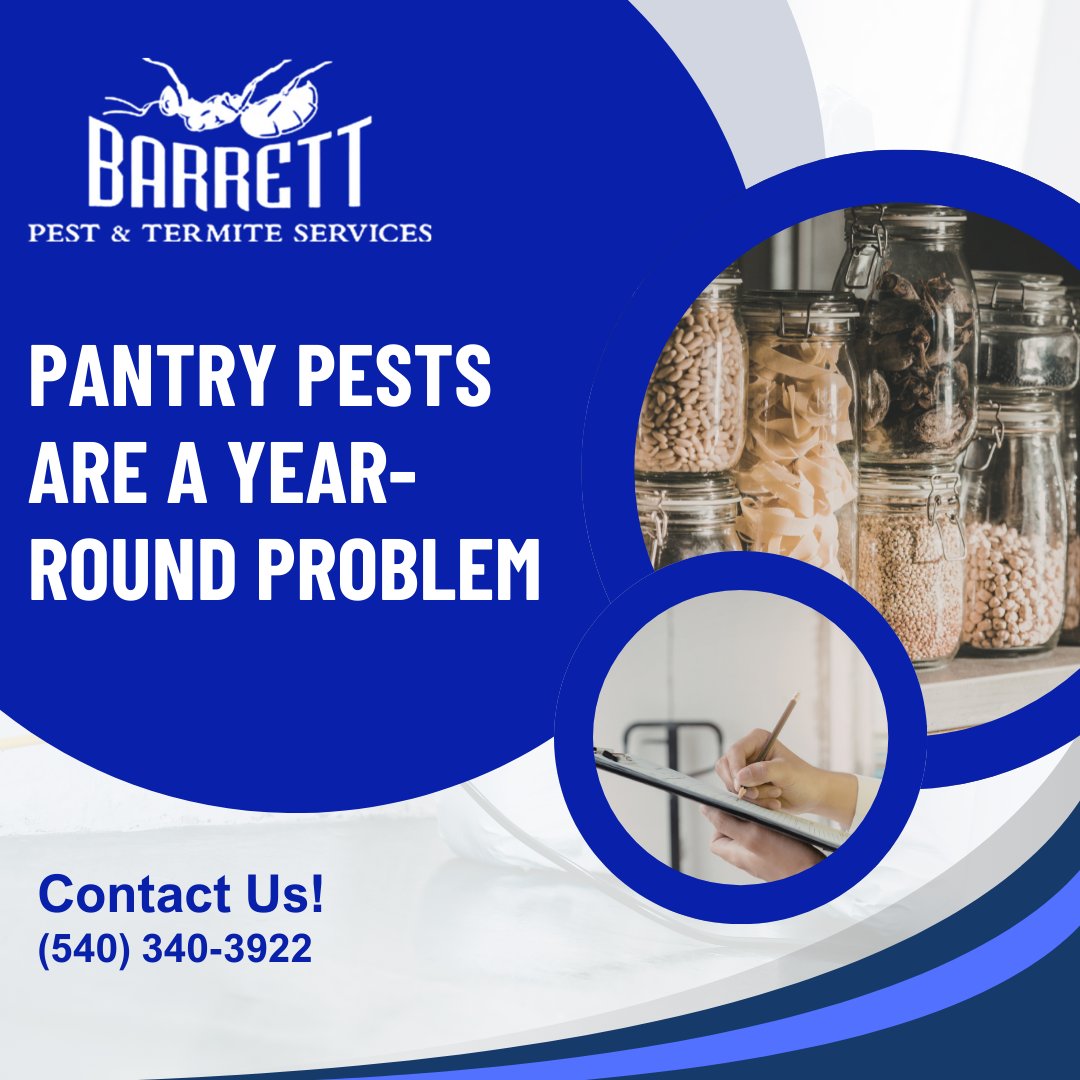 BarrettPest's tweet photo. Did you know pantry pests like beetles and moths don’t disappear in winter? In fact, colder months often give them the perfect opportunity to thrive. With stored food sitting undisturbed in cabinets and pantries, these pests can go unnoticed.
https://t.co/Xhshktnp5a https://t.co/ml858n7KCg