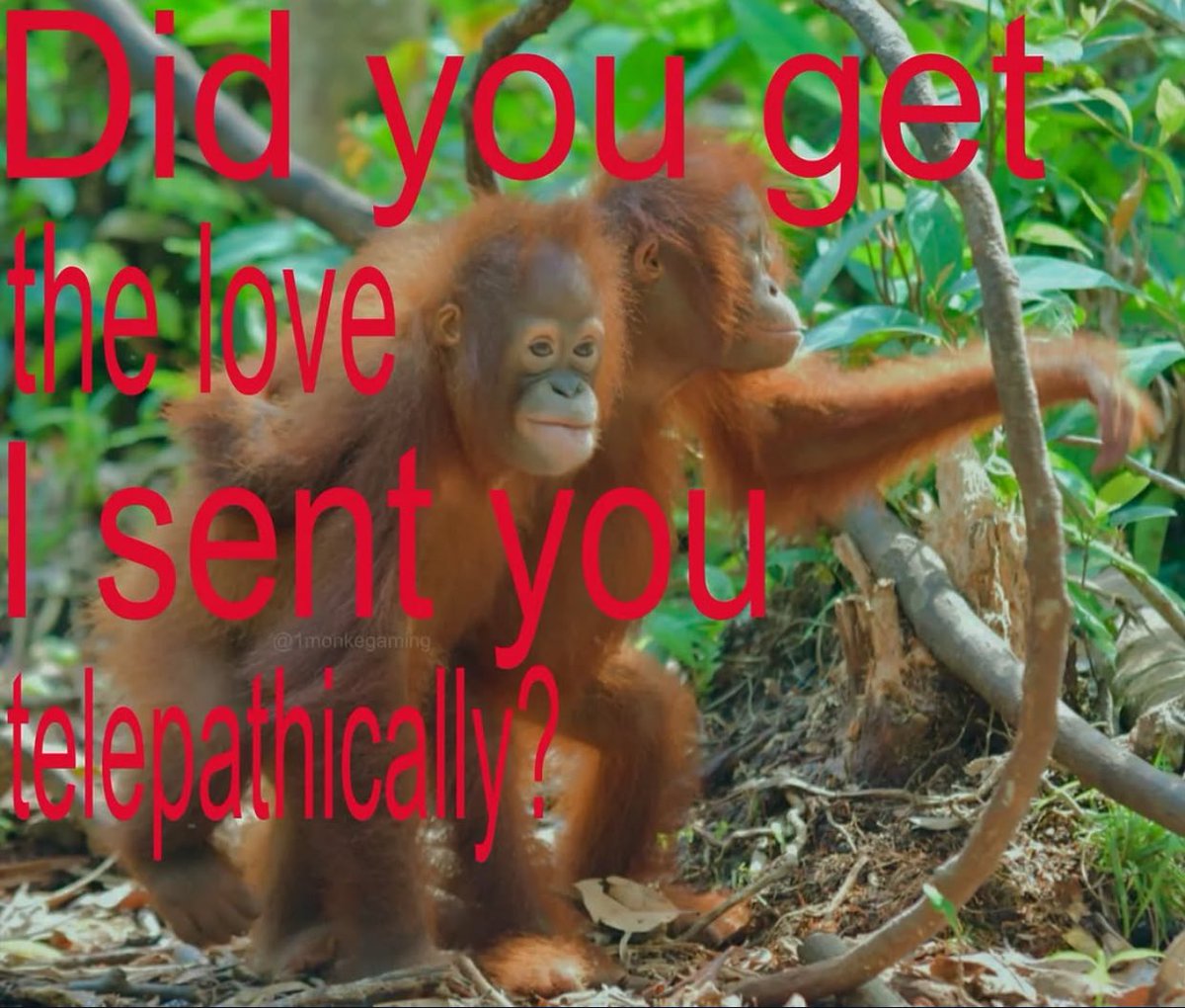 Me & Who? (@tagyourwho) on Twitter photo 