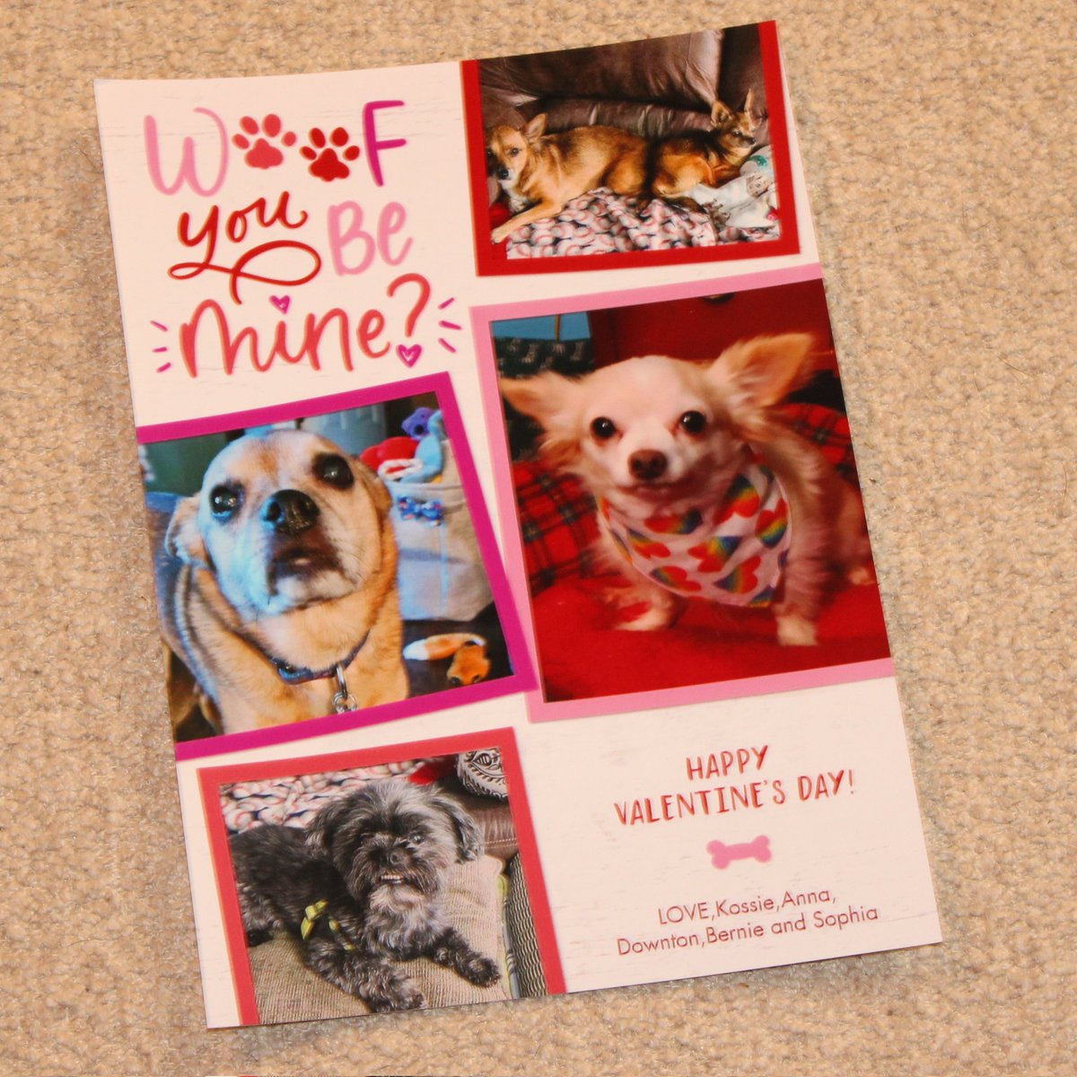 PugnatiousG's tweet image. #Pupmail

Thank you Kossie, Anna, Sophia, Bernie and Downton @paco5775  for da very cute Valentine's Card! We love it and we love you all so much!! Please give mommy and Dani hugs and remind dem we love dem too!

Love Duggie, Yogi, Phoebe and family 
#PuggieForever #DarlingDuggie