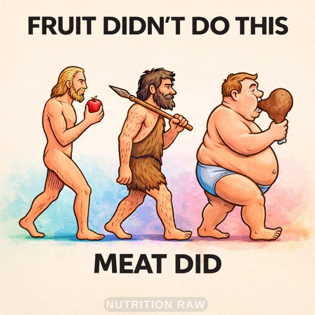 Tofur ⓥ tweet media