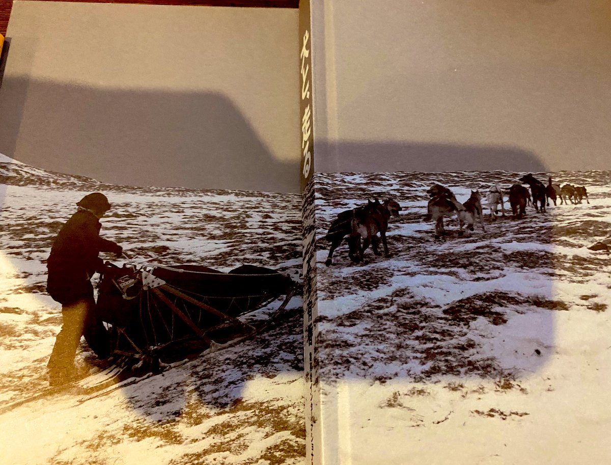 🌌高橋よしひろ先生新連載🌌銀牙伝説レクイエム🌌 (@katukatu210