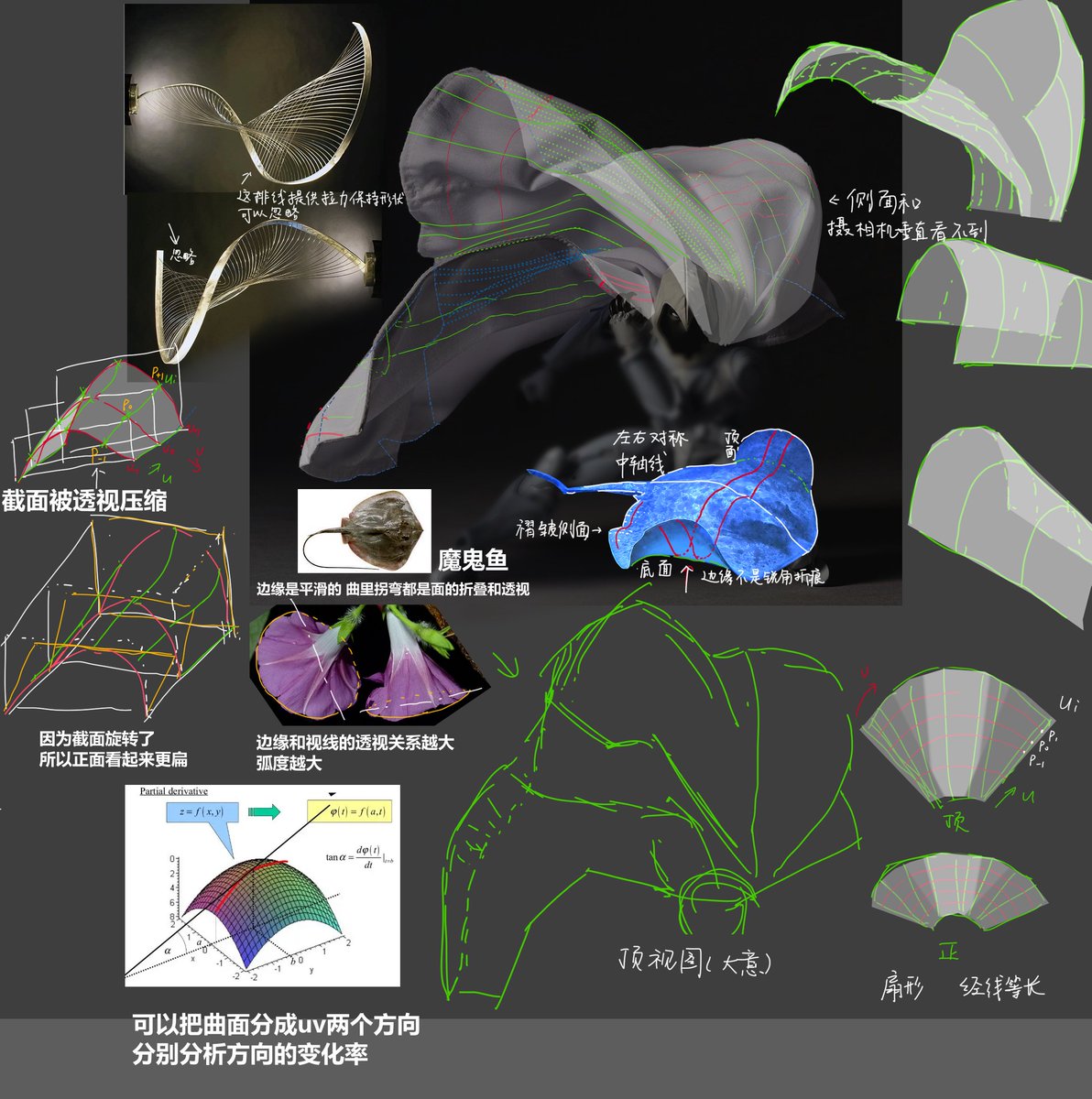 study about the cloak