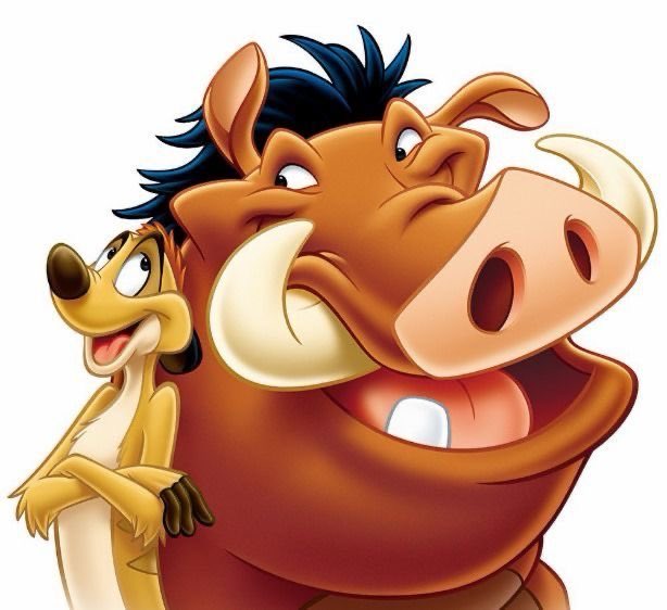 HoopsCrave's tweet image. Timon and Pumbaa will be portrayed as a gay couple in an upcoming Disney film.
