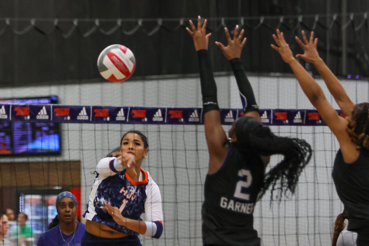 Guilherme Torres tweet media