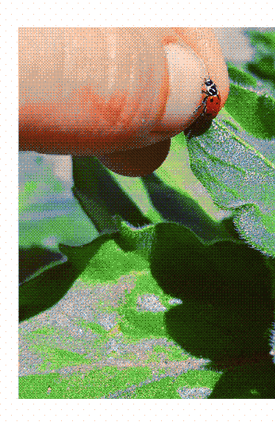 lawrence wilkinson tweet media