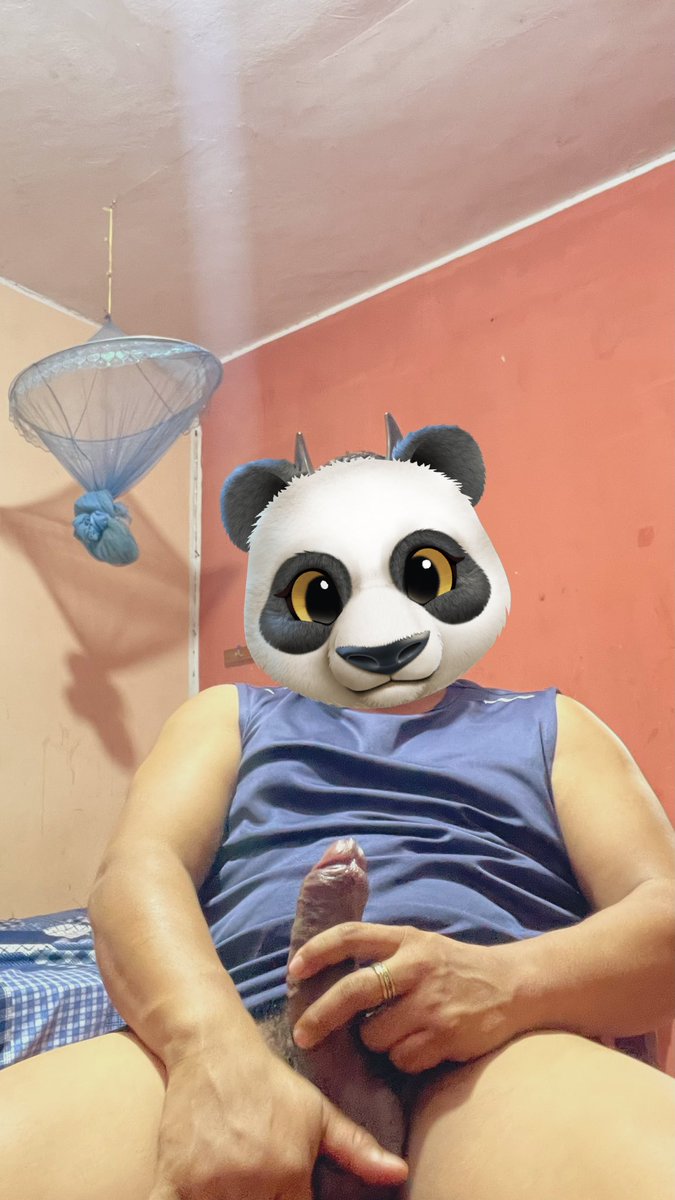 SELVATICO PERUANO tweet media