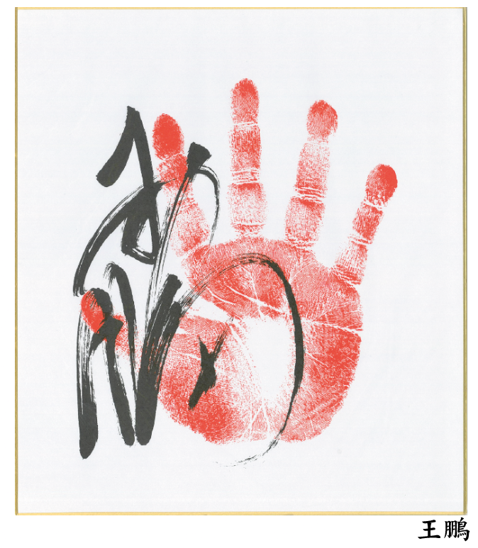 bigSUMOfan.com tweet media