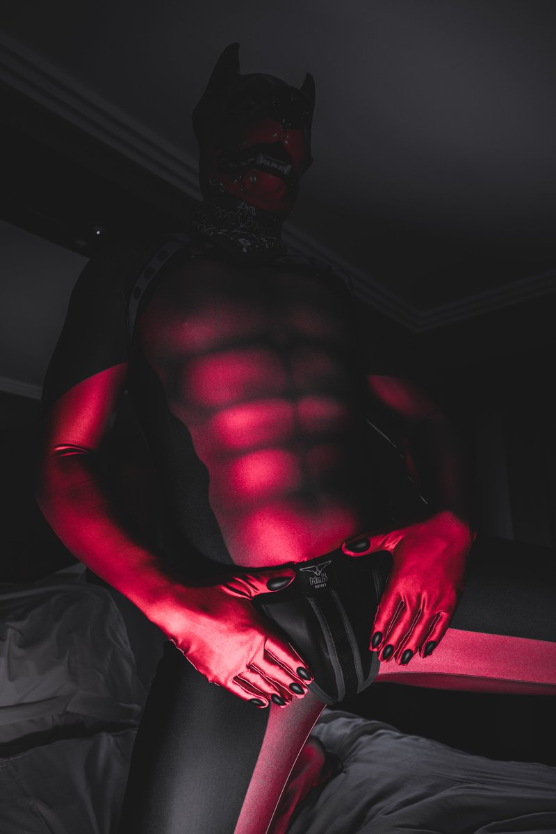 🏳️‍🌈🔞Dobie-Ace🔜CFZ🔜Anthro-Irish🔜EF tweet media