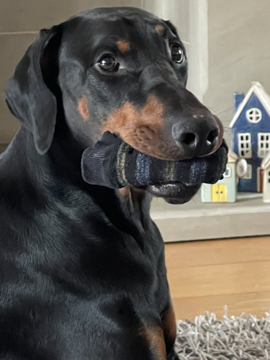 sheilaMol tweet media