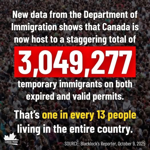 Bryce Wade tweet media