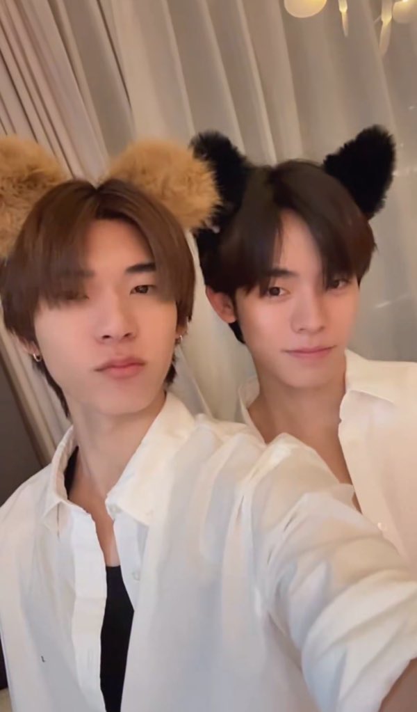 irisonpip's tweet image. เมะหมาเคะแมวบ้านส้ม มี 2 ประเภท