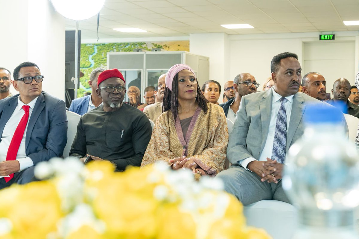 UNDP Resilience Hub for Africa 🌍 tweet media