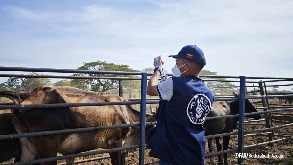 FAO VENEZUELA tweet media