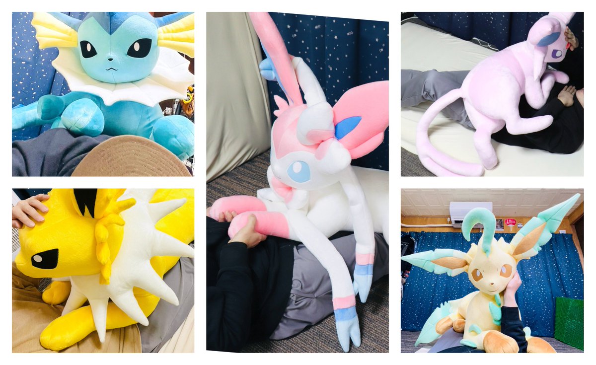 ぶるーす tweet media