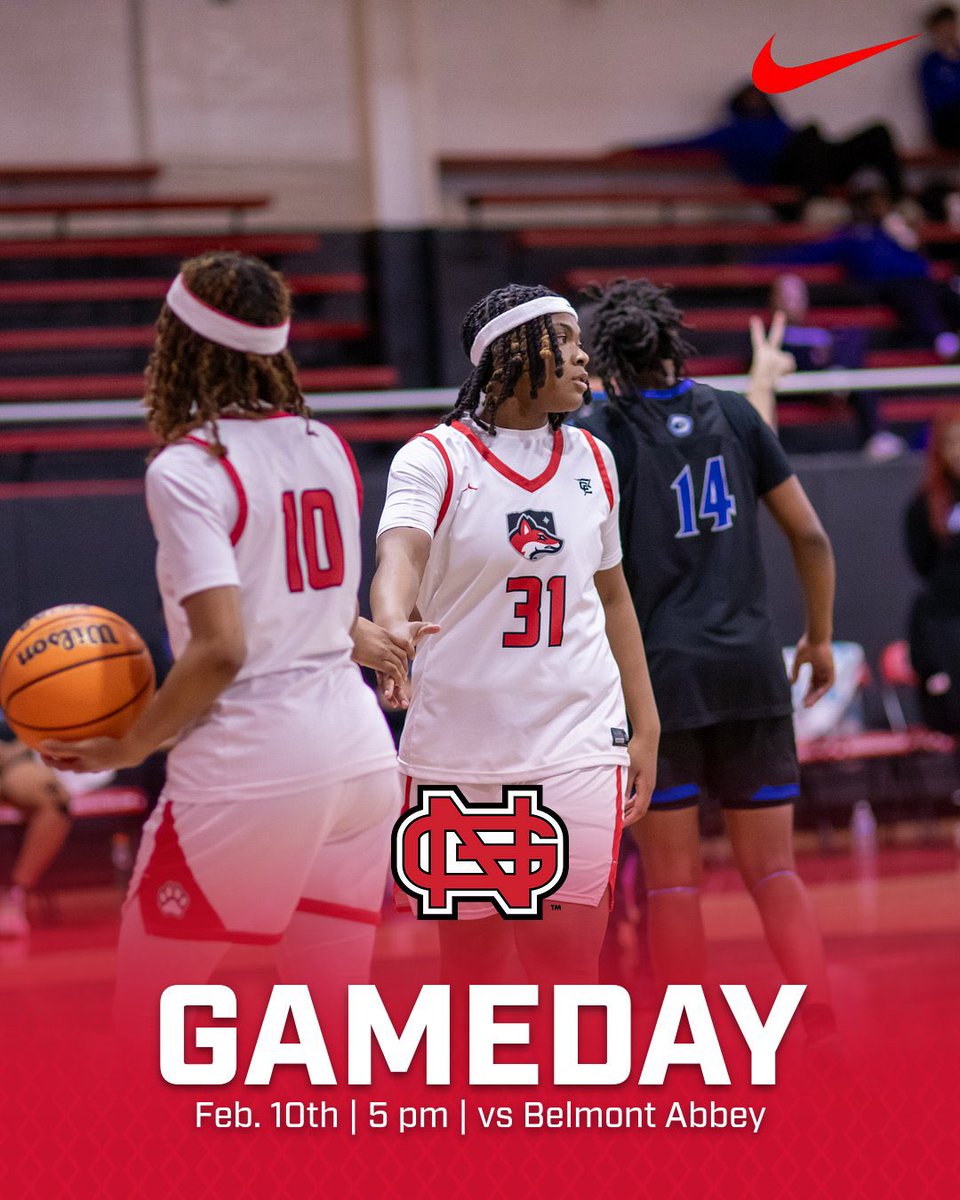 NGU_WBB tweet media