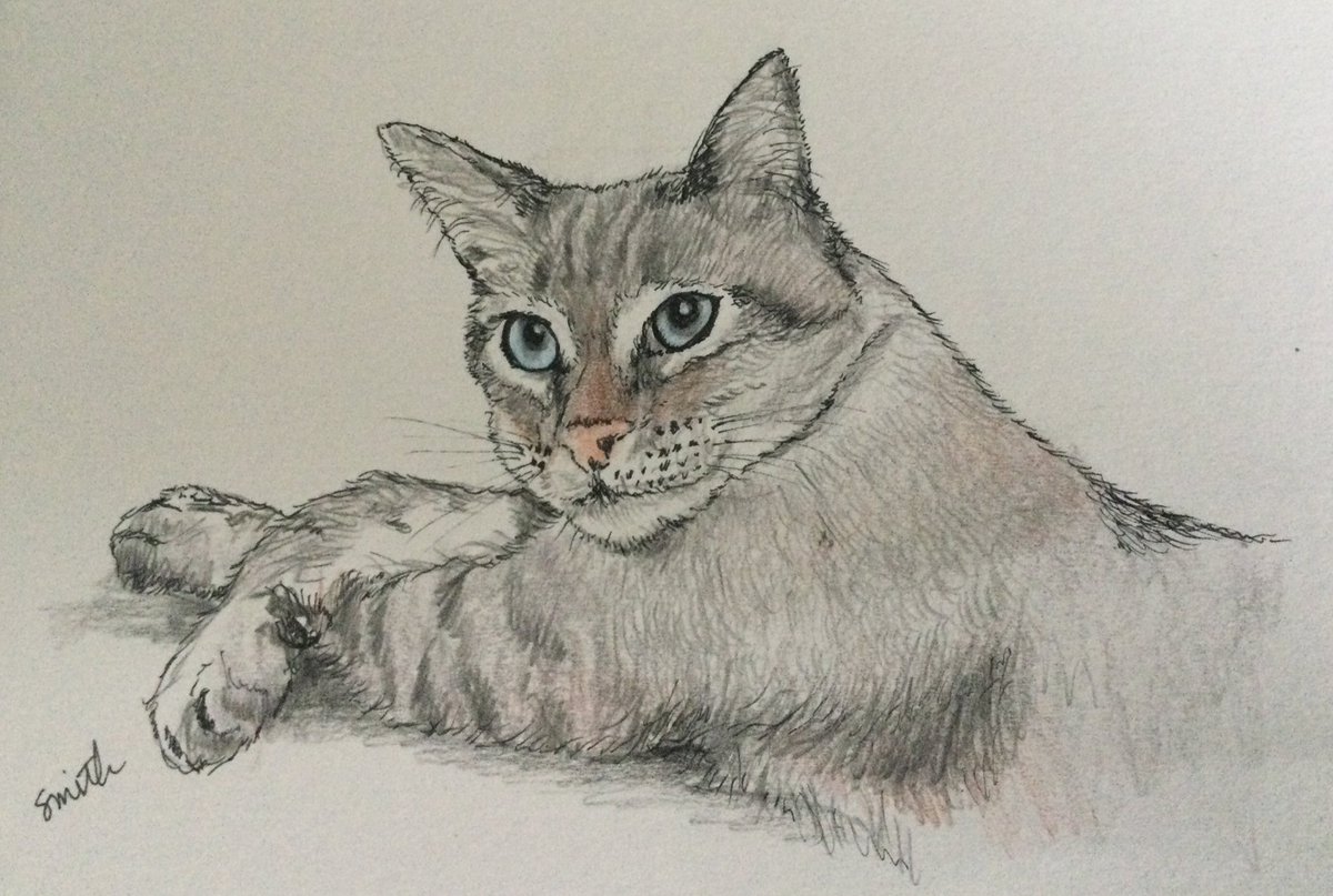 Creative Mitch tweet media