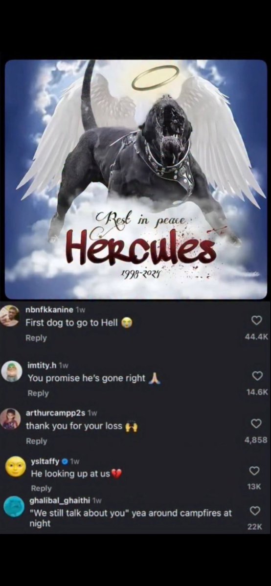 Nature Vids (@natureinmemes) on Twitter photo 