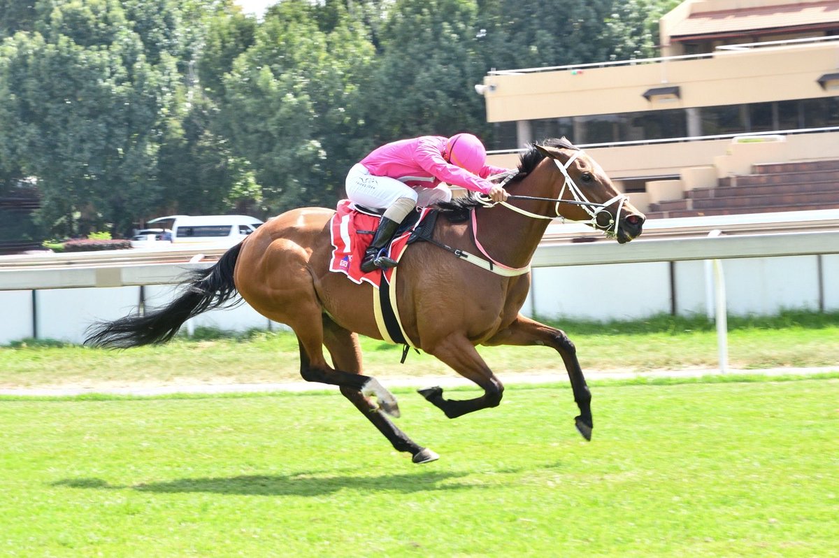 Di de Kock tweet media